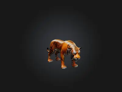 Realistic Tiger Low-poly 3D model