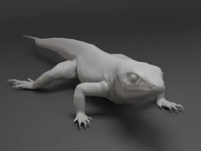 Lizard Sculpt 3D model