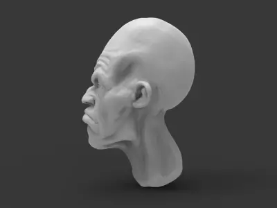 Big Head 3D model