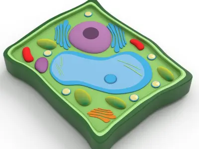 Plant Cell v3 3D model