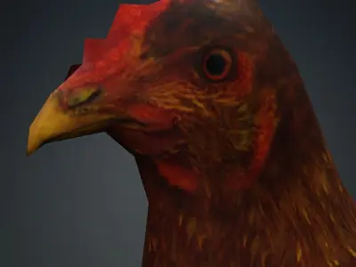 Free low-poly Hen Free low-poly 3D model