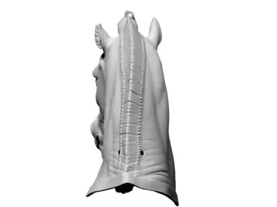 Horse Head Mask 3D model
