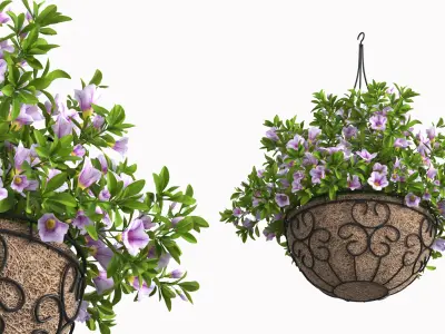 Petunia Hanging Basket Light Purple 3D model