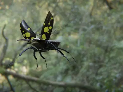 Bug Monster Low-poly 3D model