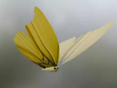 Simpel Buterflys Low-poly 3D model