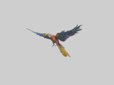 Macaw flying model Low-poly 3D model