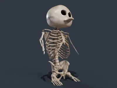 Penguin Skull Low-poly 3D model purchase