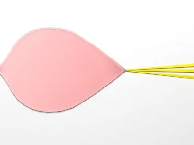 Heart Kite 3D model