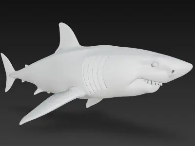 Shark 3D Model - Simple 3D model