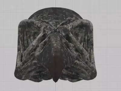 Crystal Skull - The Witcher 3 Wild Hunt Free low-poly 3D model