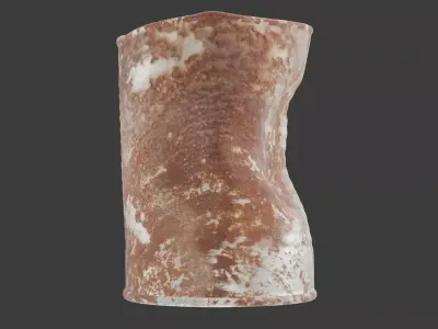 Crushed rusty can 3D model