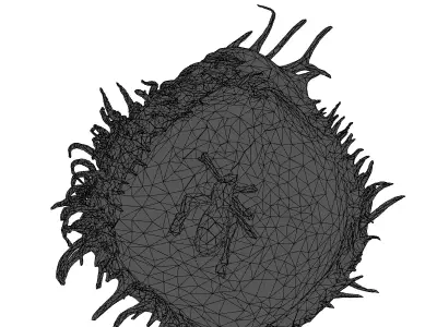 Venus Flytrap with Insect 3D Model Low-poly 3D model