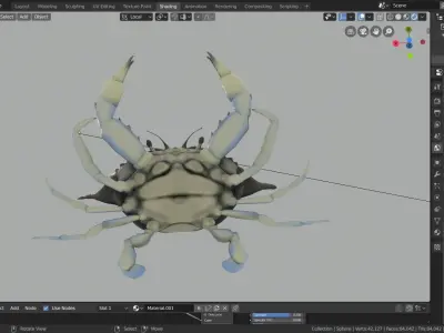 blue crab 3D model