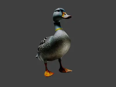 Duck Animal Low-poly 3D model