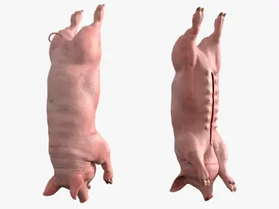 Slaughtered Pig Carcass Hanging for Blender 3D model