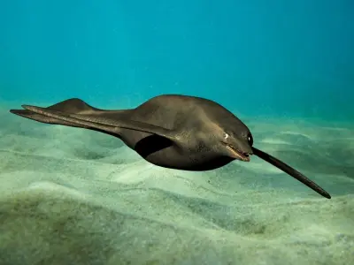 shastasaurus dolphin swimming in ocean 3D model