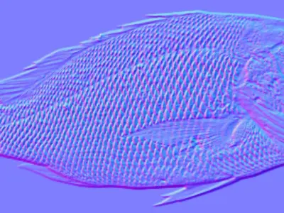 pargo Free 3D model