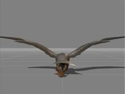 seagull v1 Low-poly 3D model