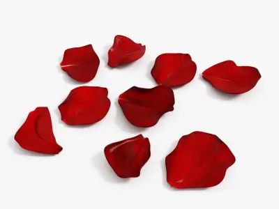 Rose Petals 3D model purchase