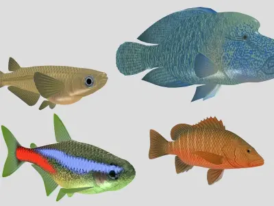 Fish Collection 07 Low-poly 3D model