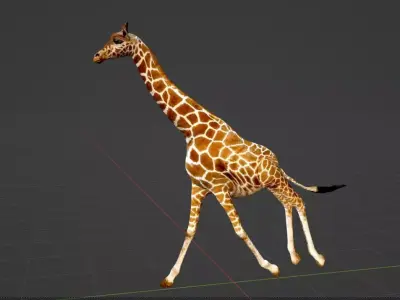 Animated Giraffe 3D model