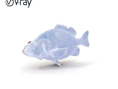 Realistic Fish Model Pack Low-poly 3D model