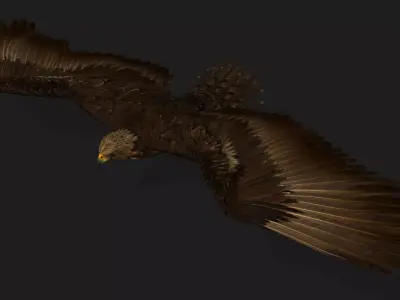 Eagle V3E Free 3D model