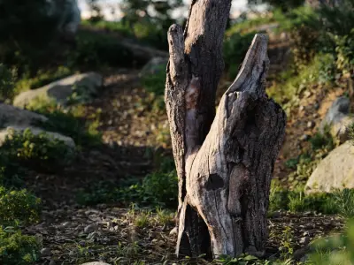  Tall Cut V-Shaped Deciduous Stump Model 