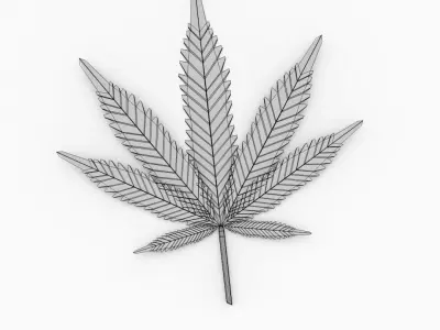 Cannabis Leaf 3D model