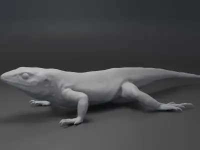 Lizard Sculpt 3D model