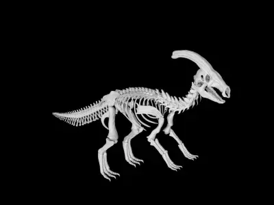Parasaurolophus skeleton Low-poly 3D model