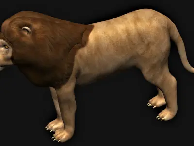 Lion low polygon 3D model