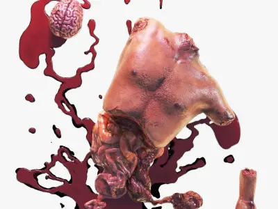 Torn Off Human Body Parts 3D model