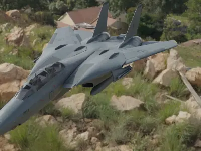 F14 TOMCAT 3D model by jedidaichi