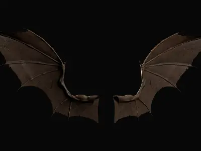 Pair of Bat Wings [C4D] 3D model
