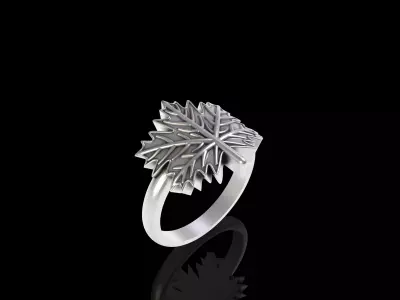 Leaves Ring 3D print model