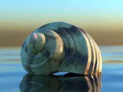 Green Seashell High Quality Scan 4K PBR Textures Free 3D model purchase