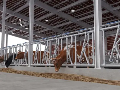  Cow Farm Block 