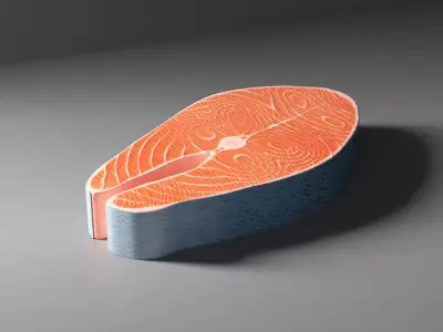 Raw Salmon Fish Steak 3D model