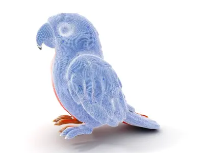Colorful Parrot D Model Pack for Animation and Games Low-poly 3D model