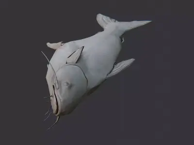 Basa Fish Set with Natural Texture Low-poly 3D model