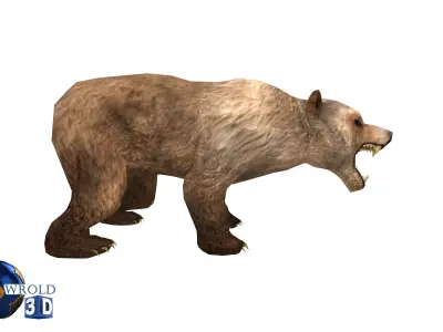 Animal Bear Rigged-Animated Pack Lowpoly 3d model Low-poly 3D model