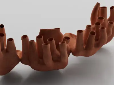 Endoplasmic Reticulum  3D model