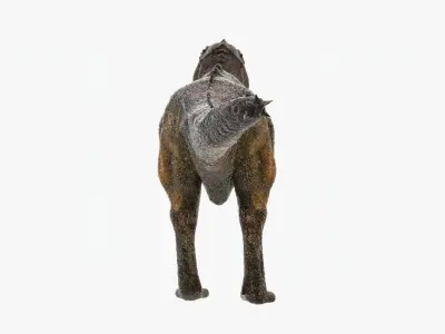 Tyrannosaurus Rex Low-poly 3D model 11