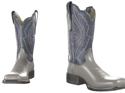 Grey Stitch Cowgirl Boots 3D model