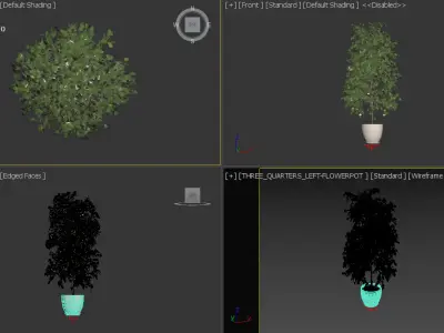 Plant Low-poly 3D model