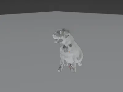 Labrador Retriever  3D model