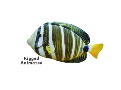 Low-Poly Striped tropical Animated  Low-poly 3D model