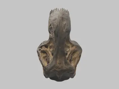 Old Damaged Stone Fossil Skull Trex Low-poly 3D model