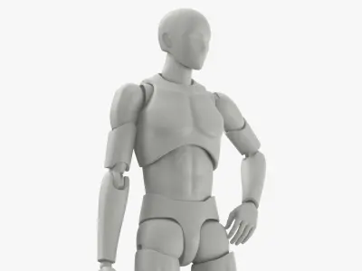 Male Mannequin Rigged 3D model